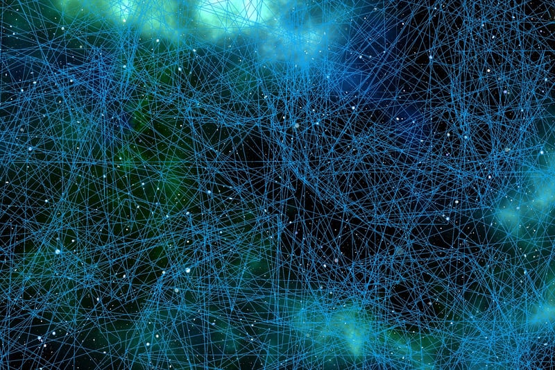 Neurons in the brain